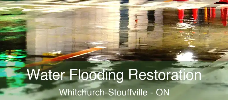 Water Flooding Restoration Whitchurch-Stouffville - ON